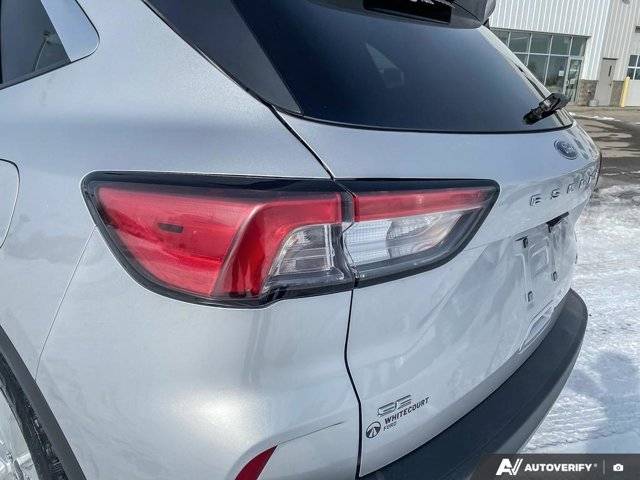 Image of Listing 50881