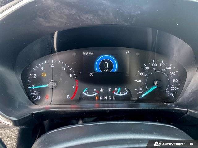 Image of Listing 50881