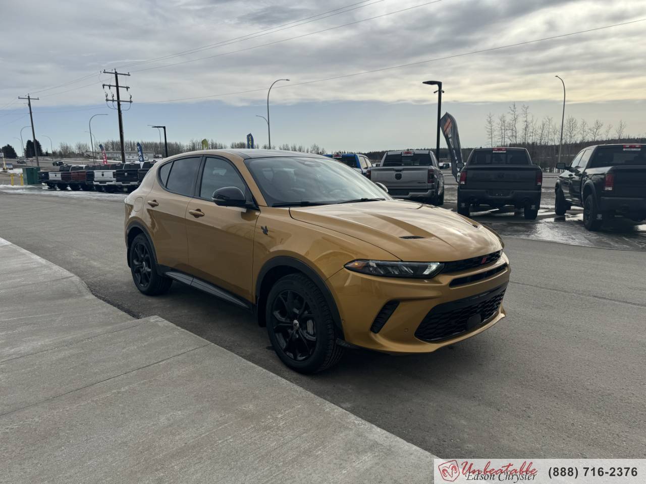 Image of Listing 43947