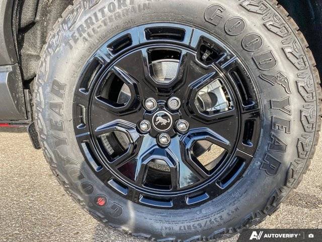 Image of Listing 48491