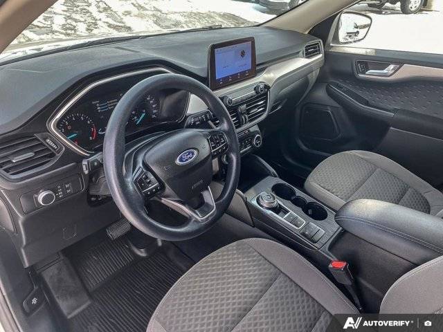 Image of Listing 50881