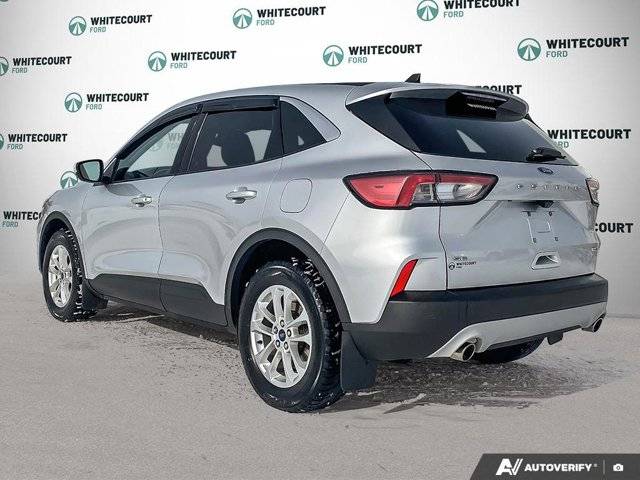 Image of Listing 50881