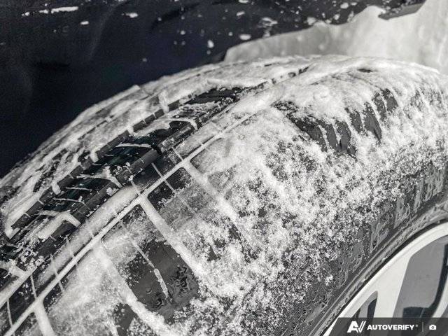 Image of Listing 50646