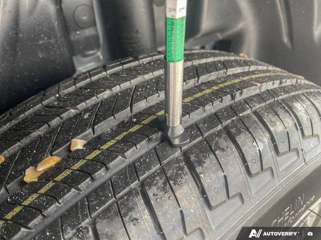 Image of Listing 50393