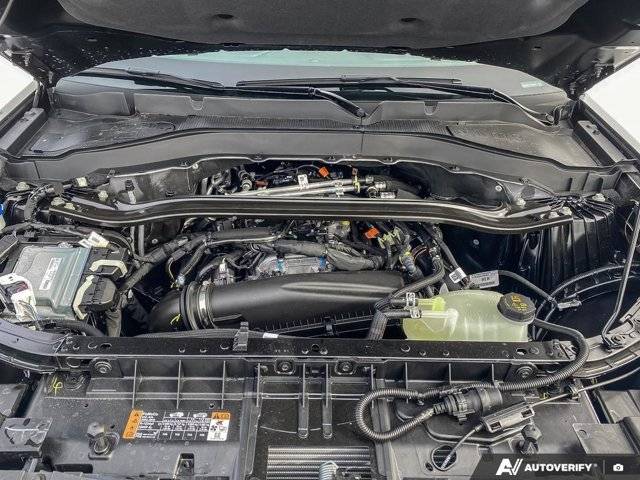 Image of Listing 50649