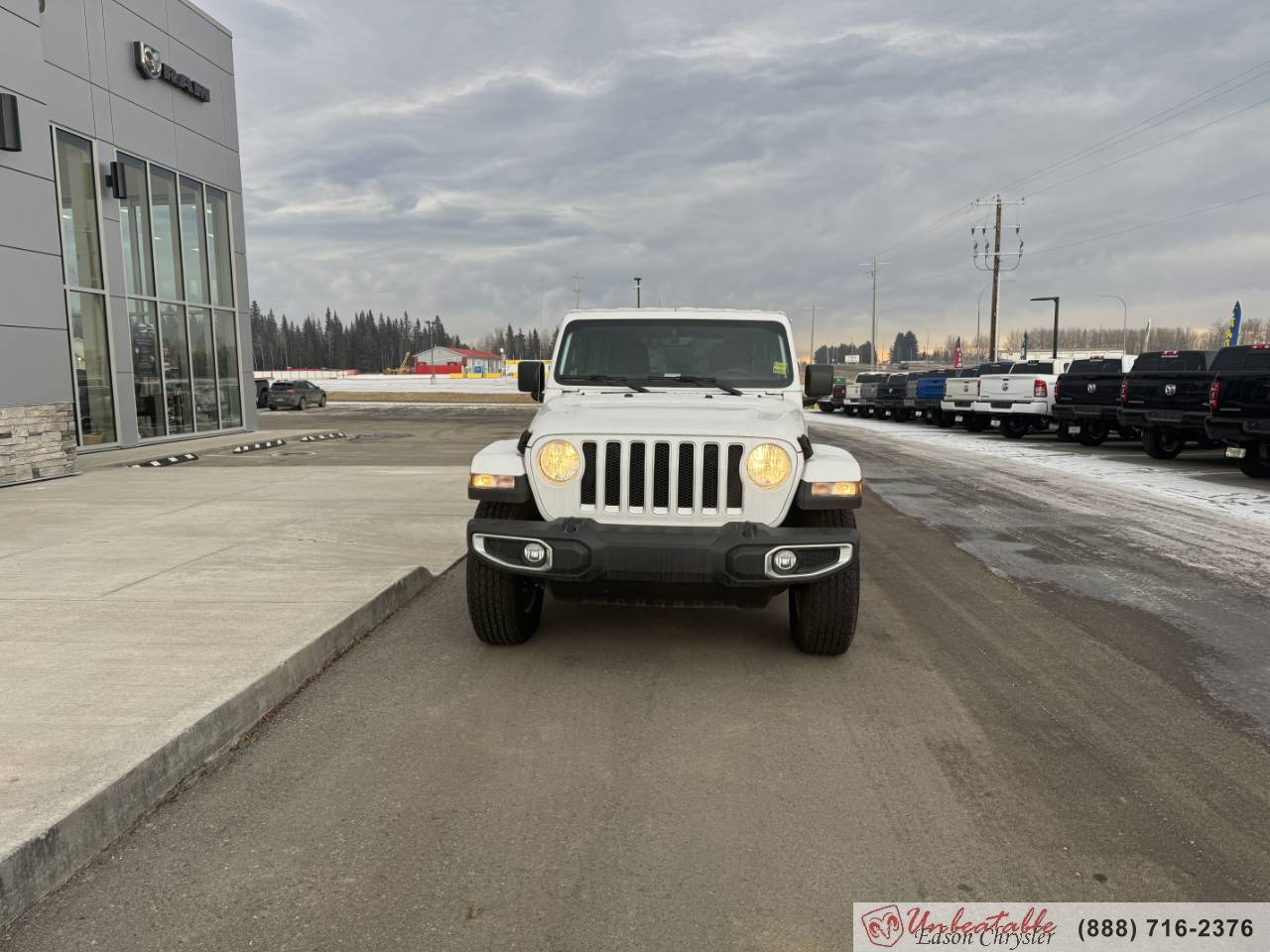 Image of Listing 43955