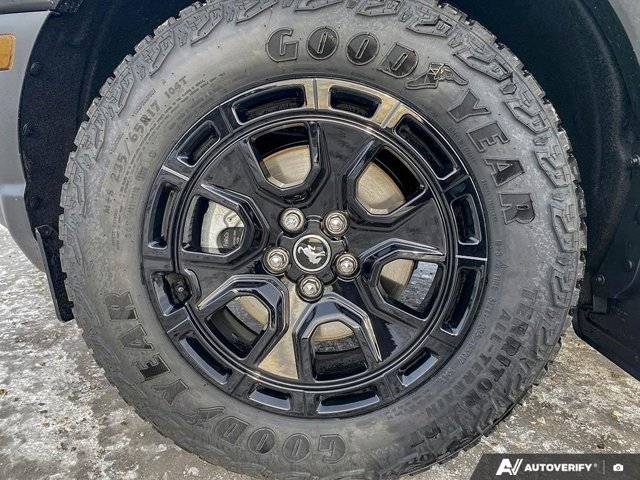 Image of Listing 50390