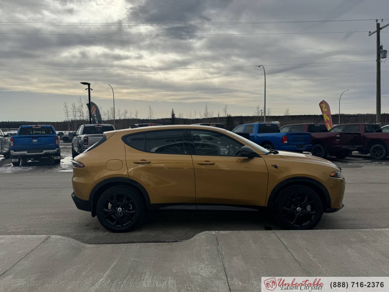 Image of Listing 43947